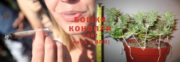 стаф Наволоки