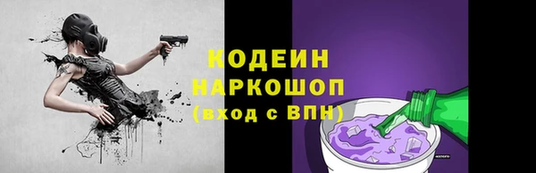 амф Гусиноозёрск