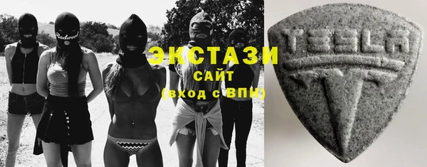 амф Гусев